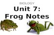 Biology unit 7 organ systems frog dissection notes
