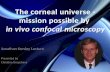 The corneal universe  - mission possible by in vivo confocal microscopy