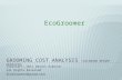 EcoGroomer Savings Analysis for a major colorado resort operator
