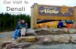 Our trip to denali national park