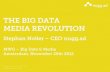 MWG Big Data & Media - Stephan Noller (nugg.ad)
