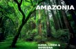 Amazonia   katja%2c linda%2crow