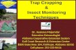 Vegetable IPM Updates for 2009