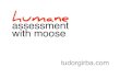 Humane assessment with Moose at GOTO Aarhus 2011