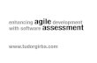 Enhancing agile development through software assessment