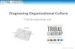 Tribal Leadership: Diagnosing Organizational Culture