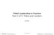 Tribal leadership: tribes and leaders (part 1 of 3)
