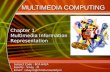 multimedia chapter1