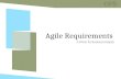 Agile Requirements: A Primer for Business Analysts