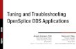 Tuning and Troubleshooting OpenSplice DDS Applications