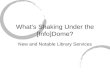 E-poster: What's Shaking Under the Dome? New and Notable Library Services