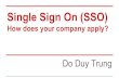 Single sign on (SSO) How does your company apply?