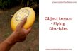 Object Lesson - Flying Disc-iples
