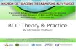 Bcc training   concept and practice