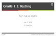 Grails 1.1 Testing - Unit, Integration & Functional