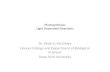 Photosynthesis  light dependent reactions