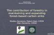 The contribution of forestry in maintaining and expanding forest-based carbon sinks