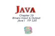 Itp 120 Chapt 19 2009 Binary Input & Output