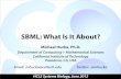 SBML: What Is It About?