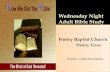 The Bible. Its History,Canonicity and Importance. Joseph David Rhodes. Poetry Baptist Church. July 2013.