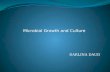 Chapter 1   microbial growth and culture