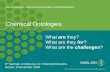 Chemical ontologies: what are they, what are they for, and what are the challenges