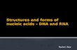 Structure and forms of dna&rna