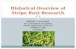 Historical Overview of Stripe Rust Research
