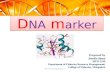 DNA Marker: