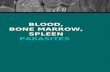 Blood,bone marrow,spleen parasites (171)