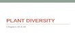 Chapter 29 & 30 - Biological Diversity of Plants