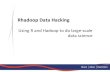 Data Hacking with RHadoop