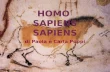 7 Homo Sapiens Sapiens