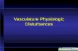 Vascular.pptx - Vasculature Physiologic Disturbances