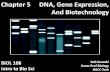 BIOL 108 Chp 5 - DNA