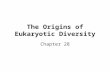 Ch.28   eukaryotic diversity