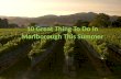 10 great thing to do in marlborough