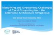 Identifying and Overcoming Challenges of Cloud Computing from the Enterprise Architecture Perspective