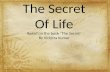 The Secret Of Life