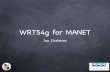 WRT54g for MANET