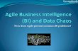 DC Business Intelligentsia January Meetup: Agile BI and Data Chaos