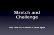Stretch and Challenge - July 9th