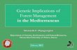 Genetic implications of forest management in the Mediterranean
