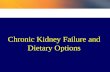 Understanding Kidney Failure and Dietary Modifications