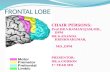 Frontal lobe &psychiatry- ppt