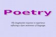 De Weese Poetry Notes Ppt[1]