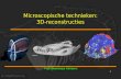 1 Microscopische technieken: 3D-reconstructies Prof. Dominique Adriaens.