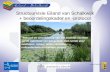 Structuurvisie Eiland van Schalkwijk + beoordelingskader en -protocol “Behoud en ontwikkeling van het landelijk karakter en de openheid van het gebied.