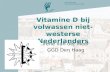 Vitamine D bij volwassen niet-westerse Nederlanders Irene van der Meer GGD Den Haag.