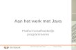 Aan het werk met JavaLieven Smits Aan het werk met Java Platformonafhankelijk programmeren.